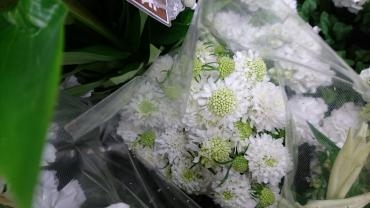 明けましておめでとうございます☆｜「フラワーショップ花よど」　（熊本県天草市の花キューピット加盟店 花屋）のブログ