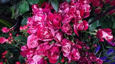 切り花入荷しております♪｜「フラワーショップ花よど」　（熊本県天草市の花キューピット加盟店 花屋）のブログ