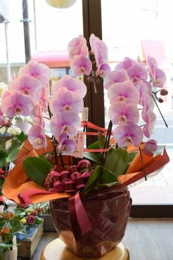 ご結婚記念日に～♪｜「フラワーショップ花よど」　（熊本県天草市の花キューピット加盟店 花屋）のブログ