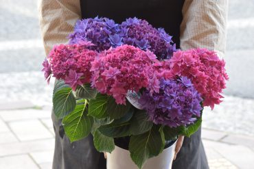 5月11日は母の日です♪｜「フラワーショップ花よど」　（熊本県天草市の花キューピット加盟店 花屋）のブログ