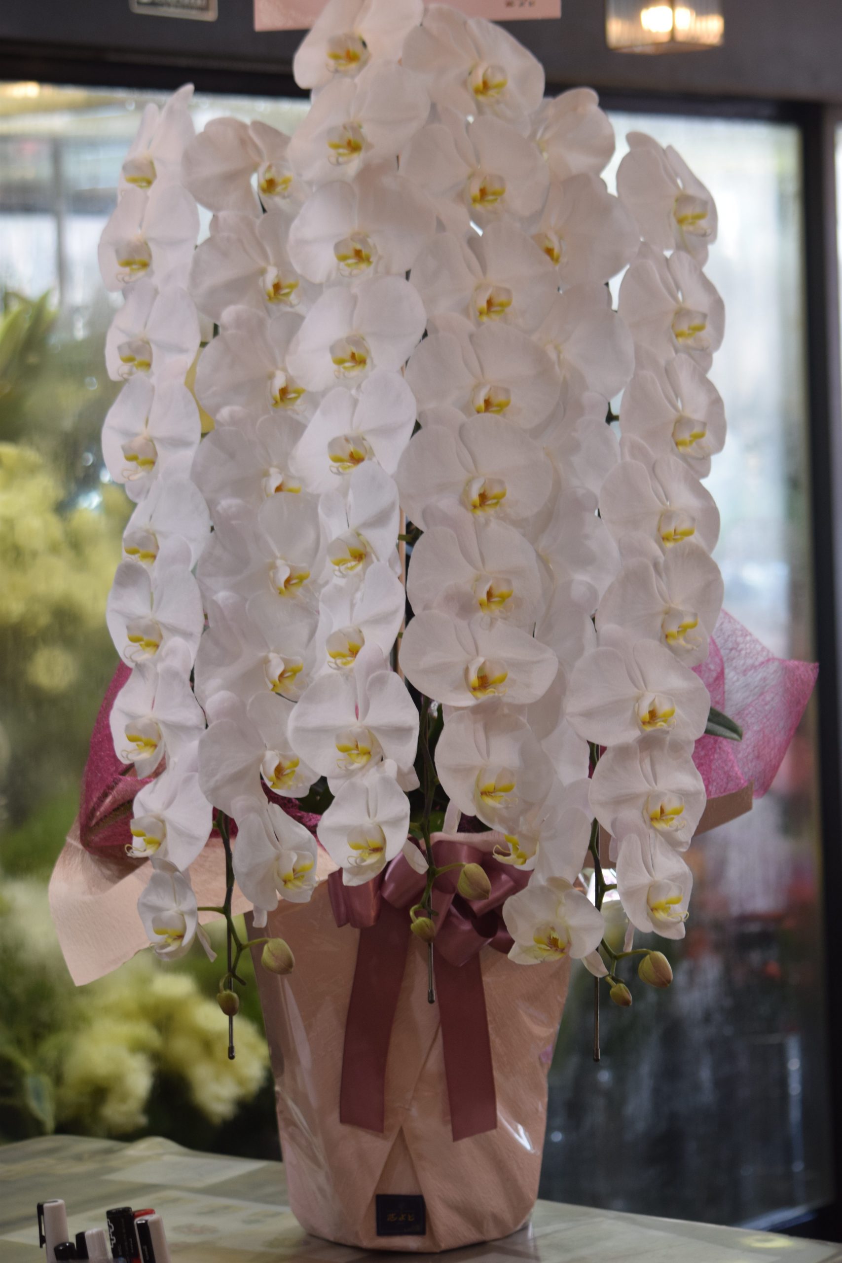 お盆用胡蝶蘭｜「フラワーショップ花よど」　（熊本県天草市の花キューピット加盟店 花屋）のブログ