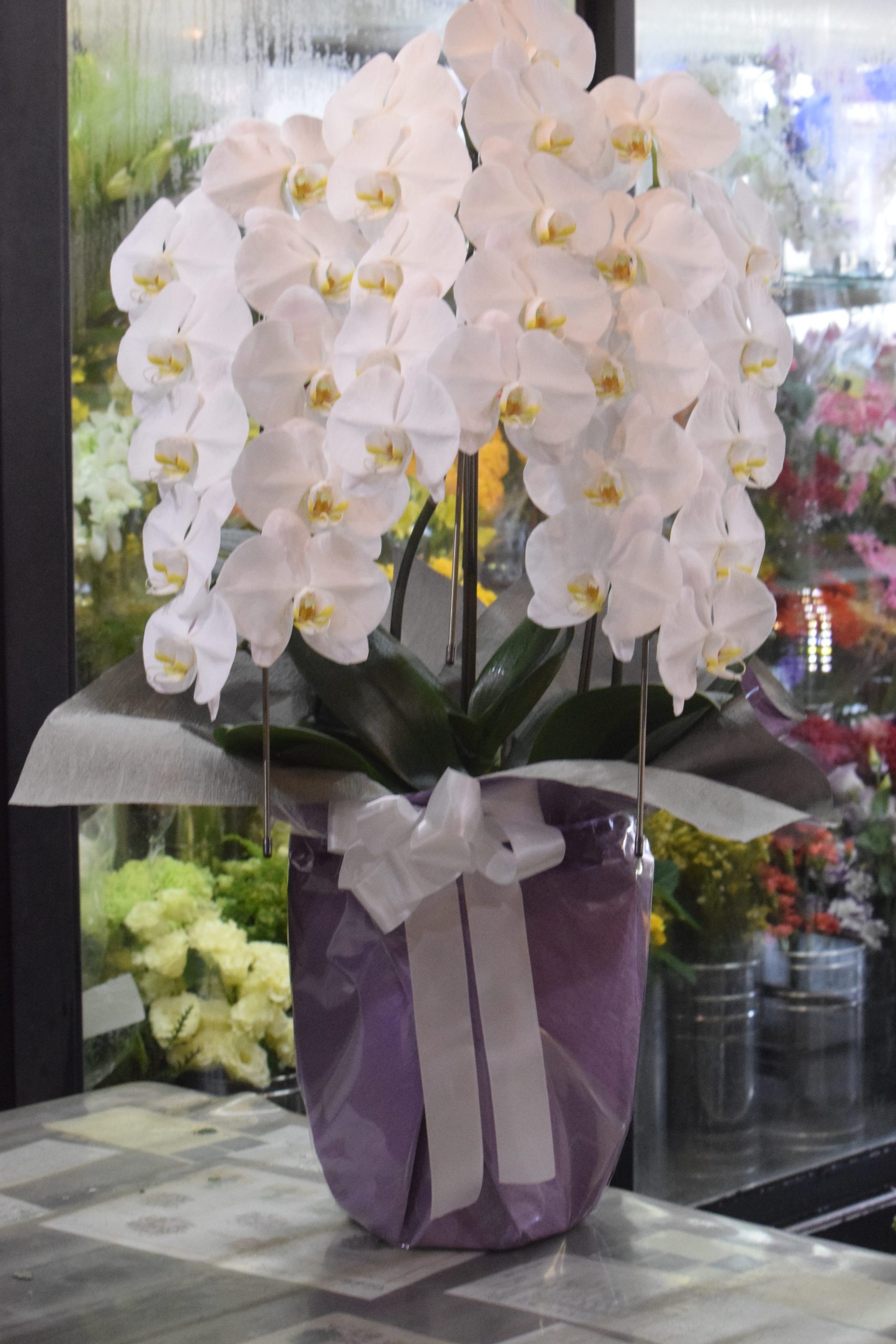 お悔みの胡蝶蘭｜「フラワーショップ花よど」　（熊本県天草市の花キューピット加盟店 花屋）のブログ