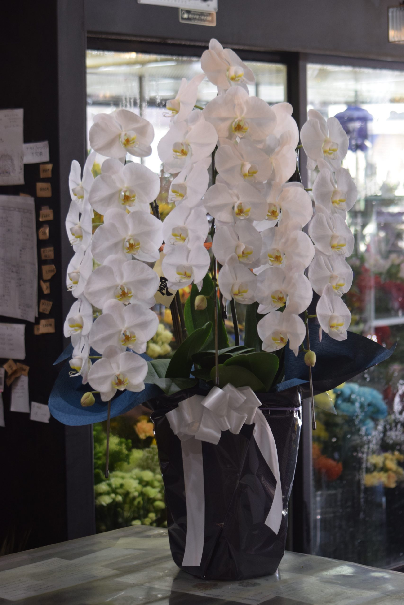 お供え胡蝶蘭｜「フラワーショップ花よど」　（熊本県天草市の花キューピット加盟店 花屋）のブログ